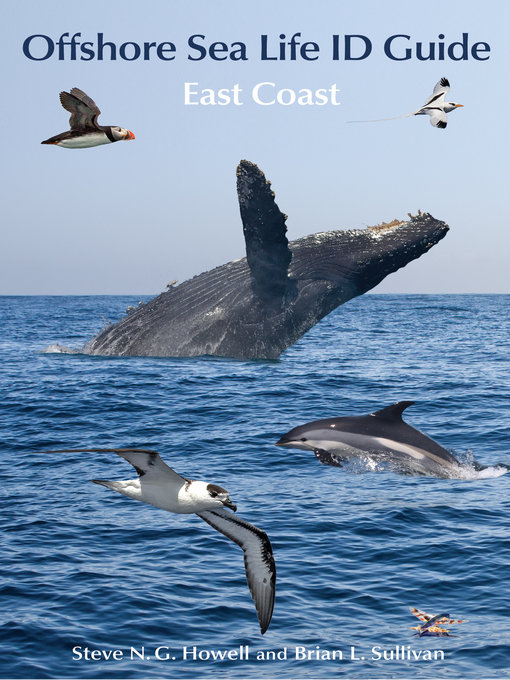 Title details for Offshore Sea Life ID Guide by Steve N. G. Howell - Available